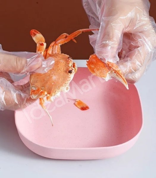 10pcs-multi-function-spit-bone-dish-product-image