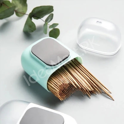 toothpick-holder-with-magnetic-holding-option-product-image