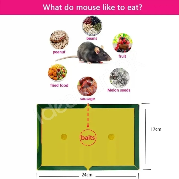 reusable-expert-mouse-glue-traps-sticky-boards-product-image