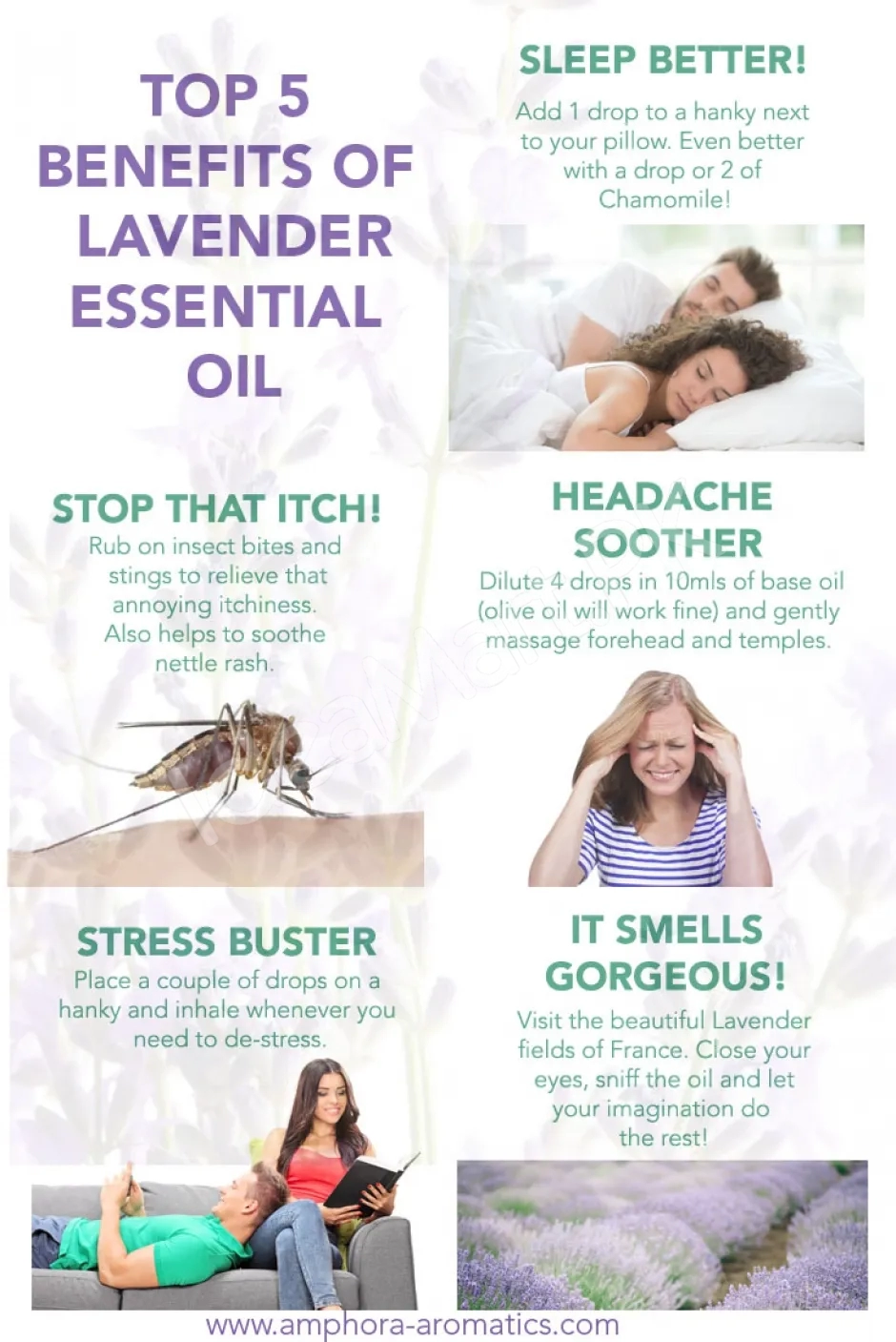 lavender-essential-oil-10ml-100-pure-therapeutic-grade-steam-distilled-vegan-aromatherapy-diffuser-relaxation-oil-concentrated-eo-for-home-spa-product-image