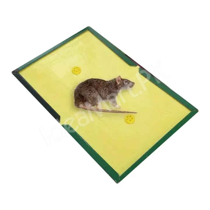 reusable-expert-mouse-glue-traps-sticky-boards-product-image