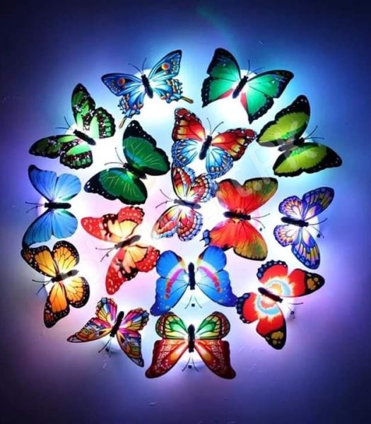 12-pieces-self-adhesive-colorful-3d-led-butterfly-wall-stickers-for-room-decor-product-image